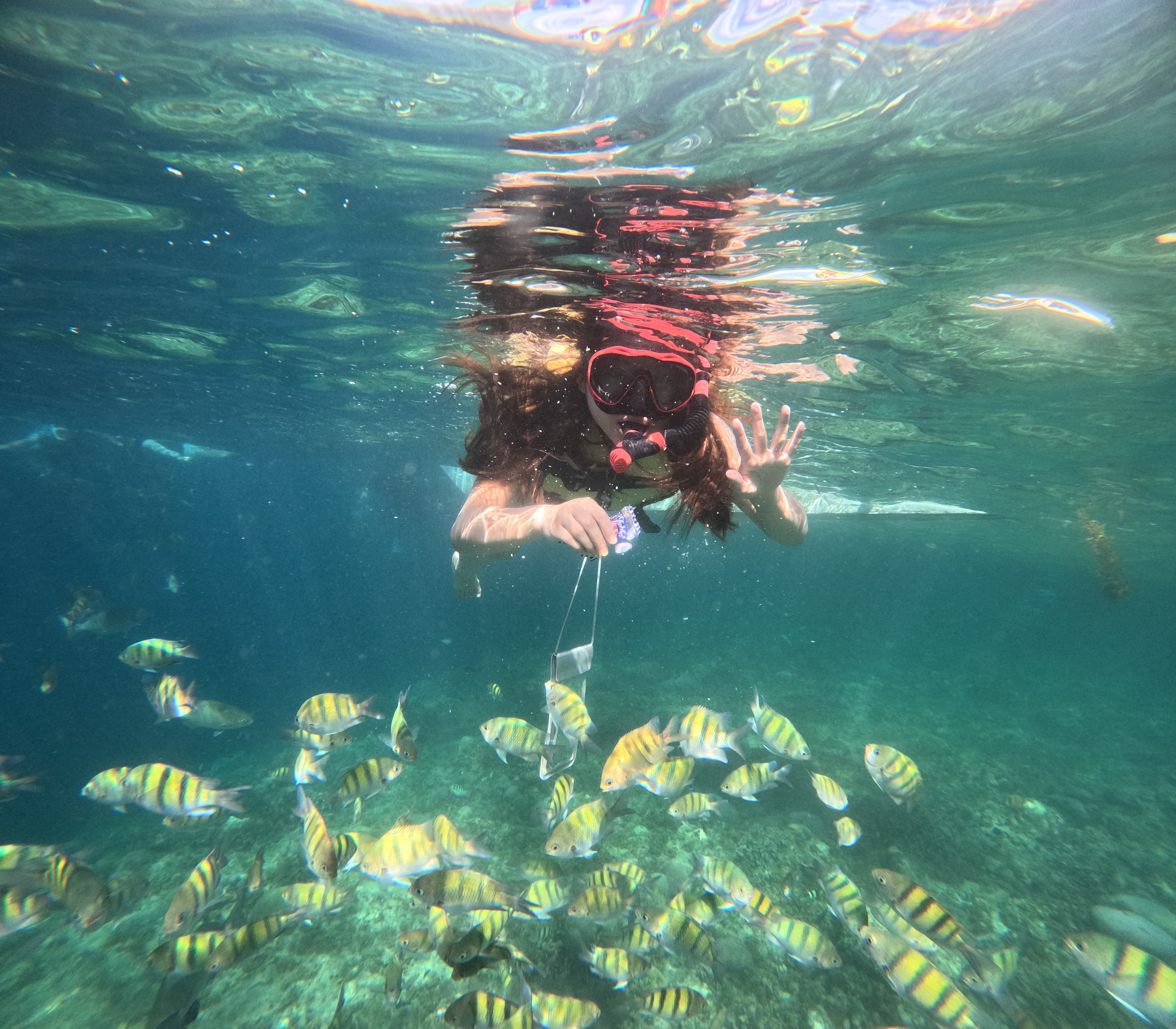 Tosokchon Samgyetang is a Korean food  restaurant